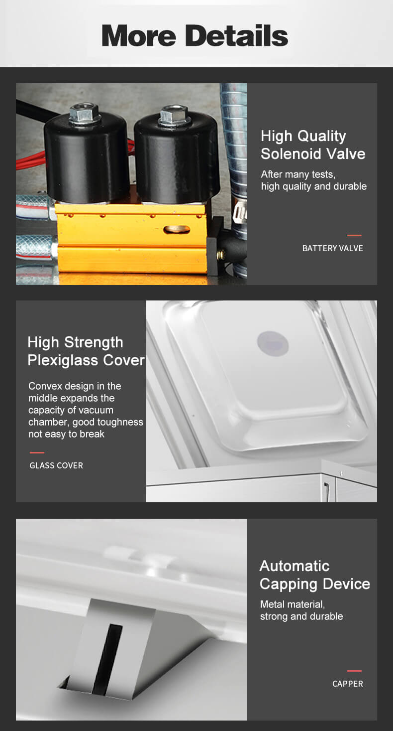 máquina de embalagem seladora a vácuo